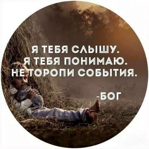   -  ,  -  - 22  2017  13:09