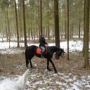  , -, 31  -  16  2017    