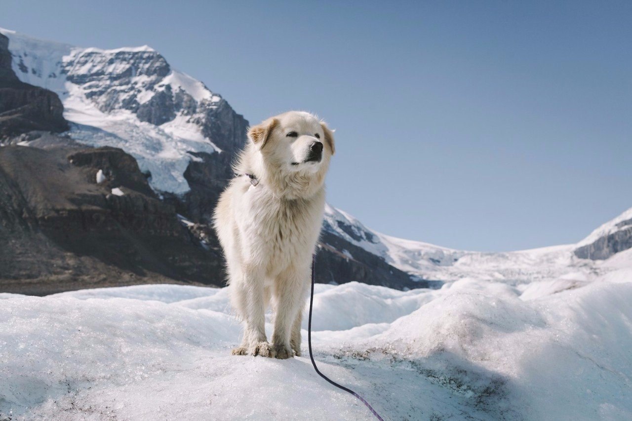 , .#@travel.blog - 6