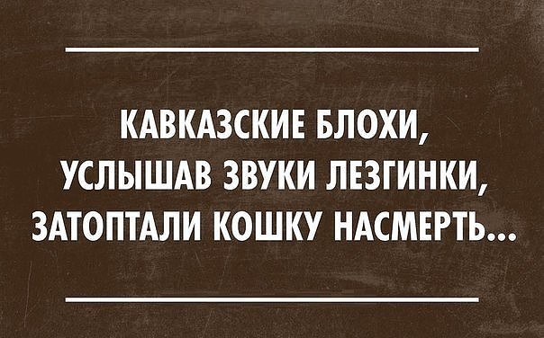 ☆ ☆ - 18  2016  02:13