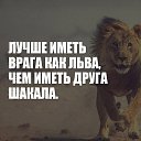 ���� Amigo!, �����-���������, 38 ��� - ��������� 18 ������� 2017 � ������ ���� ����������