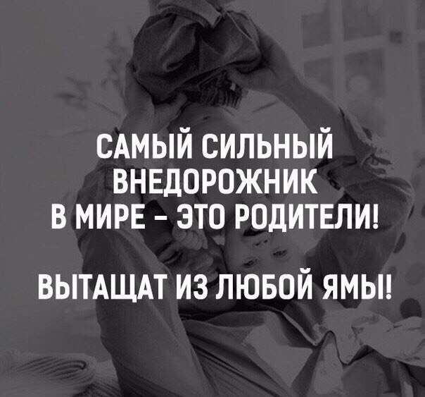    - 11  2016  03:41