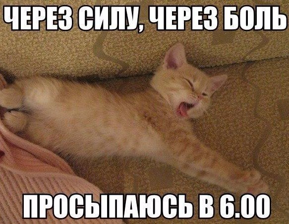    :D - 14  2016  00:32