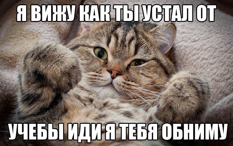 ׸  - 29  2016  13:50