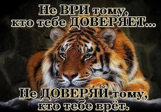 50% angel 50% devil - 29  2016  02:37