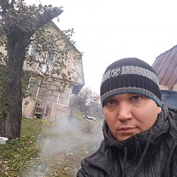 , 41, 