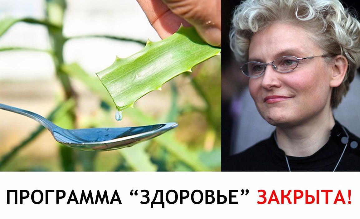 ПРОГPAММУ