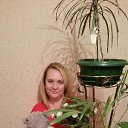 ���� �����, ��������� - ��������� 27 ����� 2017 � ������ ���� ����������