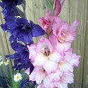 ���� �������, ������, 52 ���� - ��������� 24 ������� 2016 � ������ ���� ����������