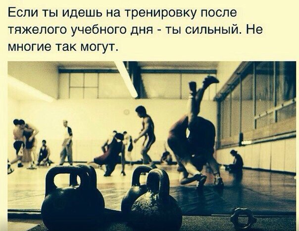  -   - 13  2017  00:36
