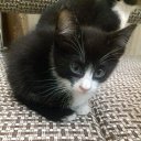 ���� ���������, ������������ - ��������� 12 ����� 2017 � ������ ���� ����������