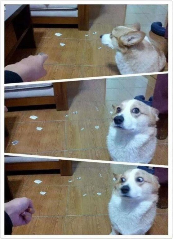 ,      - 2