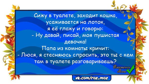  - 27  2016  22:54