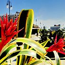  ,  -  20  2016        ͻ