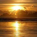 ���� �������, �������-���������, 46 ��� - ��������� 9 ������ 2017