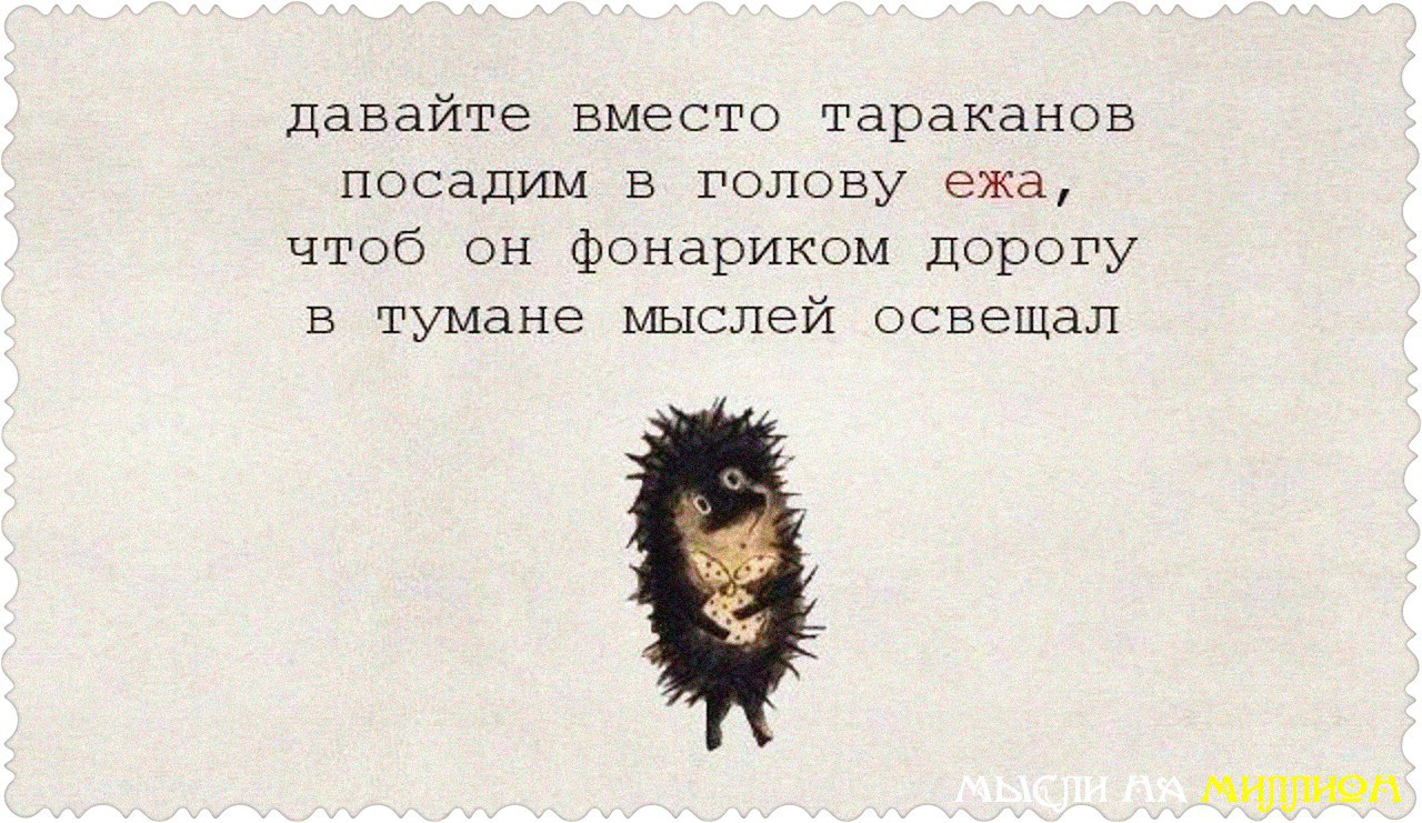    - 6  2016  08:19