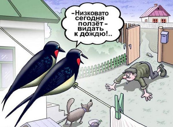     - 1  2017  16:45