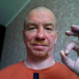 ������, ������, 46 ���