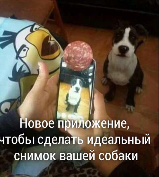    - 22  2016  16:14
