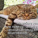 ���� ����, ������ �������, 65 ��� - ��������� 1 ������� 2016 � ������ ������ ��������