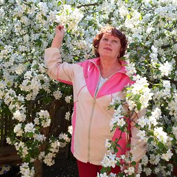 �������, ������, 71 ���