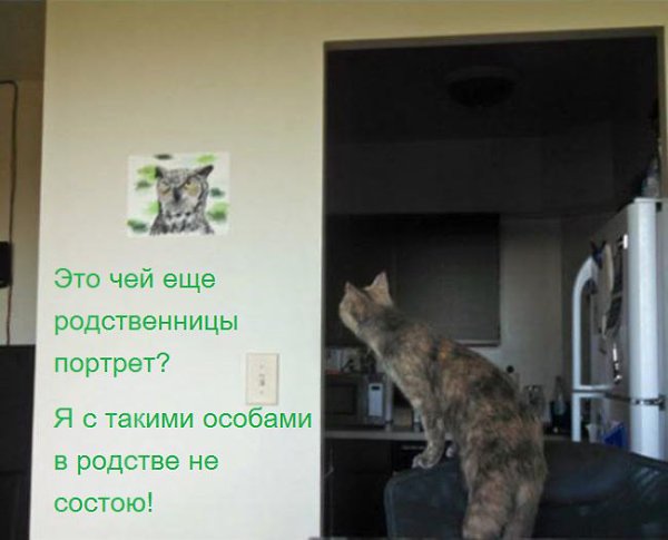 Вообще обнаглели. Это ж надо, повесить портрет черт знает кого. Ну ничего, сейчас мы с эти черт ...