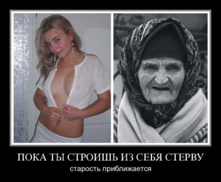  .       ,     ... - 2