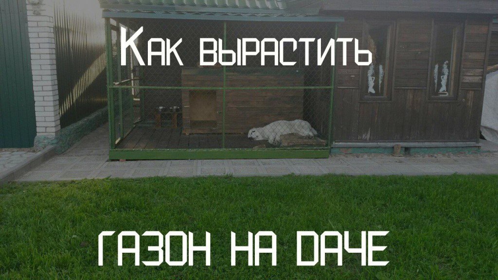 -     ; -    . -     ...