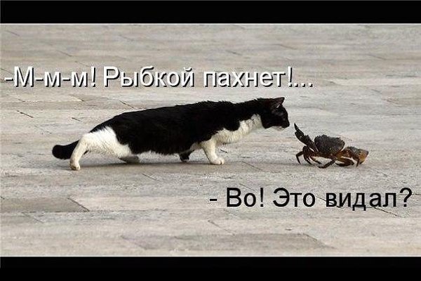    - 7  2016  04:16