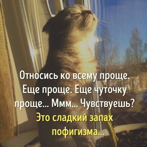  - 11  2016  14:01