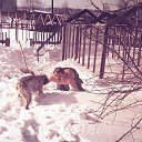 ���� ���������, ����������, 77 ��� - ��������� 14 ����� 2017 � ������ ���� ����������