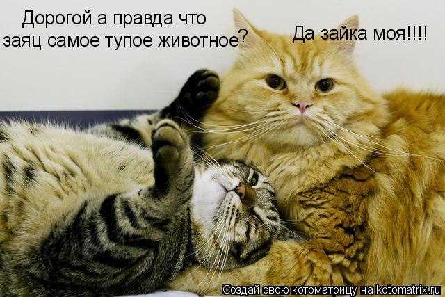 )))