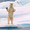 ���� ��������, ���������, 60 ��� - ��������� 21 �������� 2016 � ������ �������