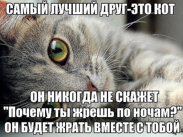 ------------------ - 2