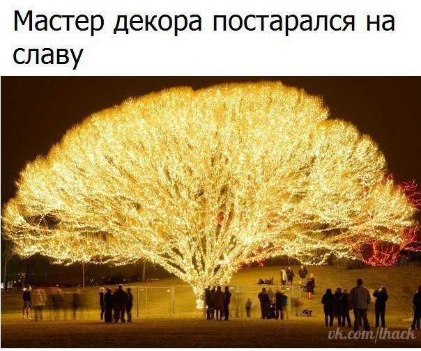   - 19  2017  13:08