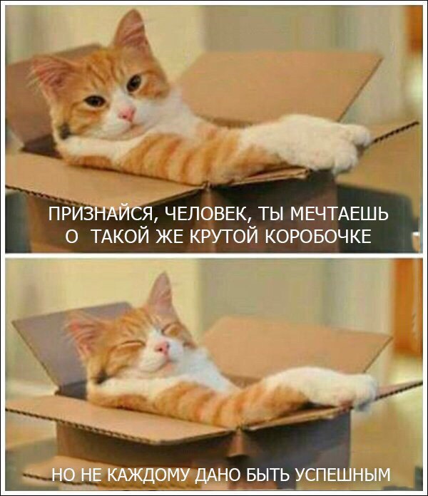       - 24  2017  17:17