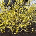 ���� �������, ������� - ��������� 5 ������ 2017 � ������ ������ 2017�