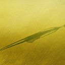 ���� ��������������, ����������� - ��������� 30 ������� 2016 � ������ ���� ����������