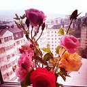 ���� Charella, ������������ - ��������� 5 ������� 2016 � ������ ������ ��������