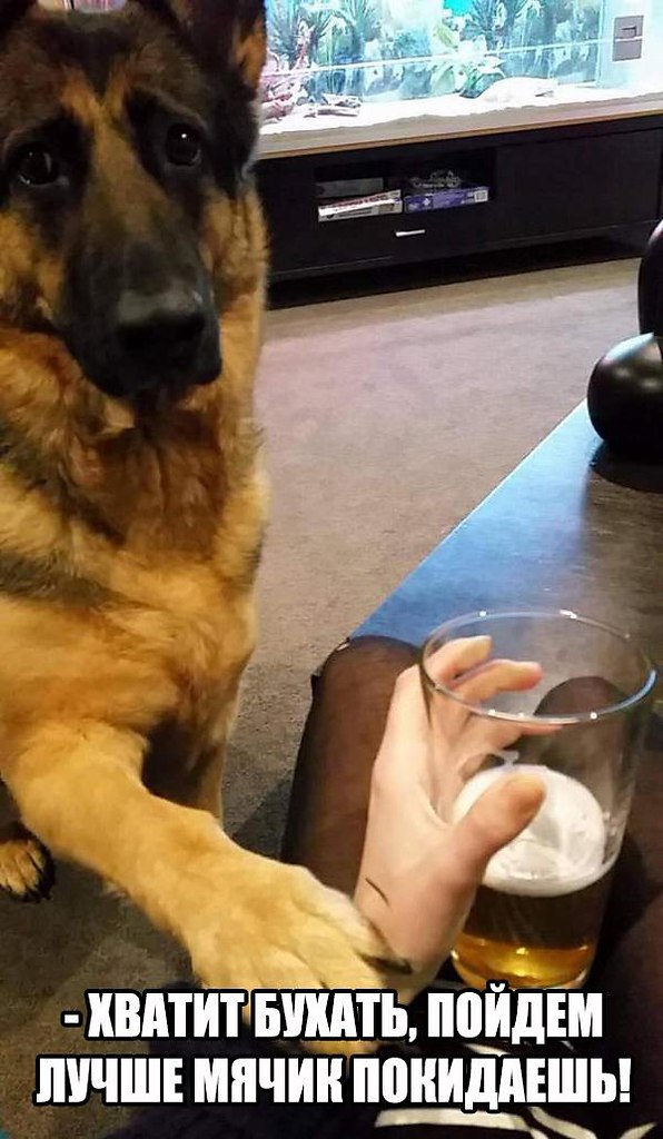 �� - 16 ������� 2017 � 02:45