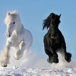 ���� �, ������ - ��������� 26 ������ 2016