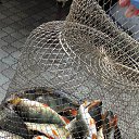 ���� �������, ������, 49 ��� - ��������� 27 �������� 2016 � ������ ������