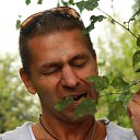  Tryam,  -  29  2016   &quot;...  !&quot;