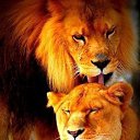 ���� ����, ������ - ��������� 17 �������� 2016 � ������ ������ ��������