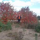 ���� ������, ������, 51 ��� - ��������� 25 �������� 2016 � ������ ���� ����������