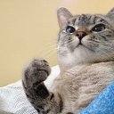 ���� Ivan, ������� ��������, 41 ��� - ��������� 2 ������� 2016 � ������ ������ ��������