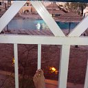  Svetlana, , 59  -  11  2017   2016 ; &quot;--.