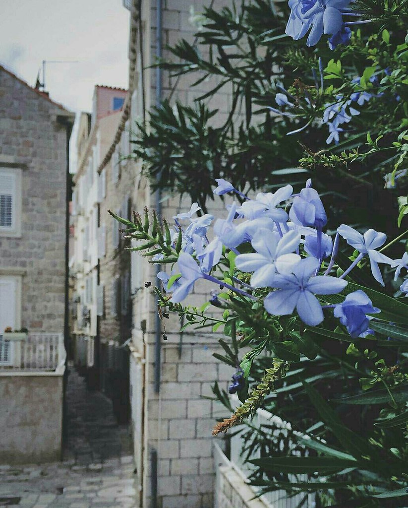 , .#@travel.blog - 8