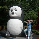 ���� �������, �����������, 49 ��� - ��������� 6 ������ 2017