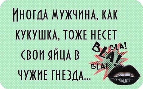   - 4  2016  12:05
